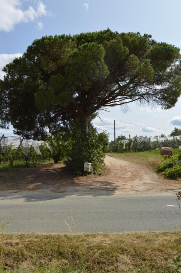 Gite Rural De Caractere Guérin Extérieur photo